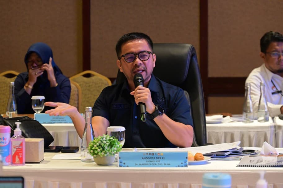 Marinus Gea: Jangan Sampai KemenHAM dan Komnas HAM Berebut Lahan!