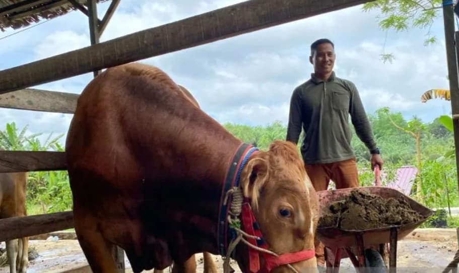 DPKH Kalimantan Timur Bentuk 23 Koperasi PDKT untuk Transformasi Peternak Menjadi Pelaku Agribisnis