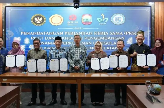 Pemerintah Bangun Kebun Pembibitan Unggul di Lampung Selatan untuk Perkuat Perkebunan Rakyat