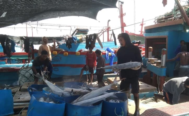 KKP Mendalami Dugaan Pelanggaran Kapal Tuna di Benoa dan Siapkan Sanksi bagi Pelanggar