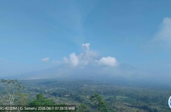 Gunung Semeru Erupsi Delapan Kali, Kolom Letusan Mencapai 800 Meter di Atas Puncak