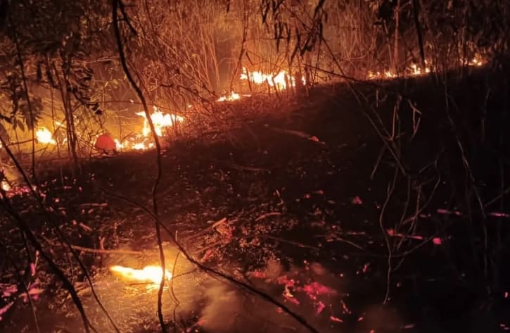 BPBD Sulteng Tangani 33 Karhutla, El Nino Kuat Tingkatkan Risiko Kebakaran