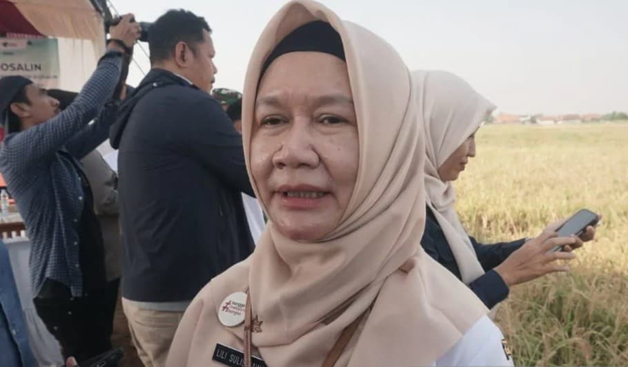 Pemkot Pekalongan Kembangkan Padi Biosalin di Lahan Bekas Rob, Produktivitas Tembus 8,2 Ton per Hektare