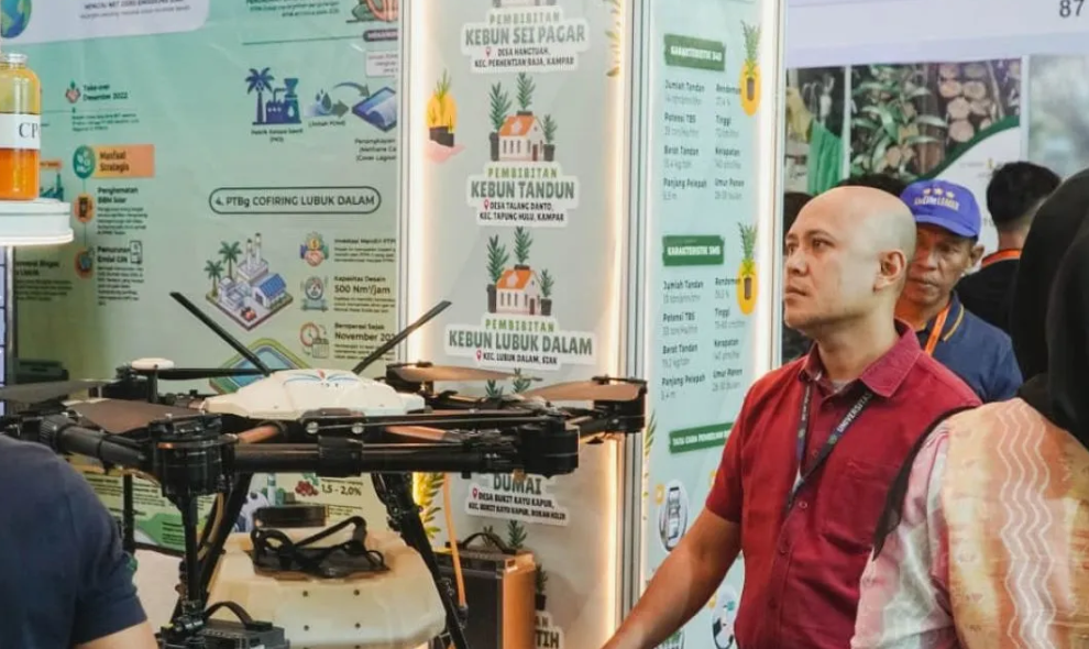 PalmCo Targetkan Kemitraan Sawit Rakyat Tembus 64.176 Hektare pada 2029