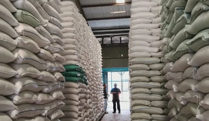 Bulog Sumut Terima Tambahan 46.000 Ton Beras untuk Perkuat Stok Pangan Masyarakat
