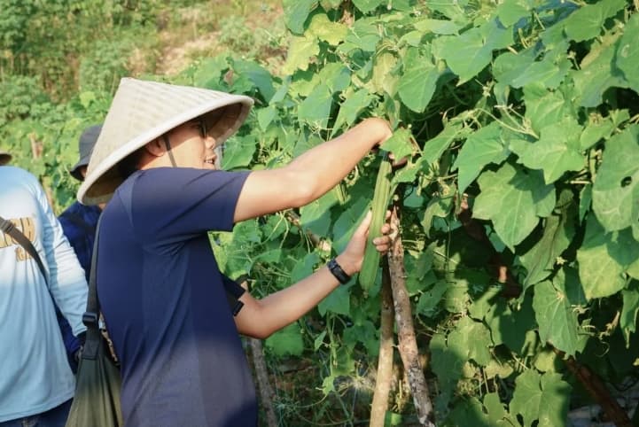 Badak LNG Kembangkan Pertanian Berkelanjutan untuk Atasi Kekeringan dan Hama di Bontang