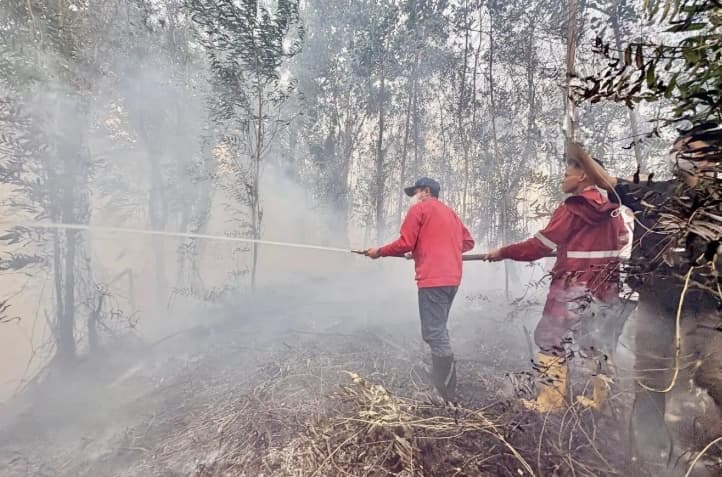 Wamenko Pangan Minta Kalsel Kerahkan Seluruh Sumber Daya untuk Kendalikan Karhutla