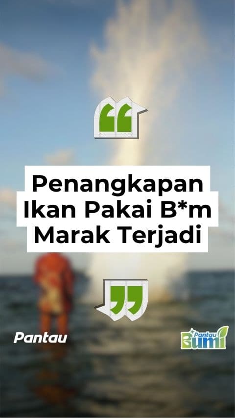 PENANGKAPAN IKAN PAKAI BOM MARAK TERJADI