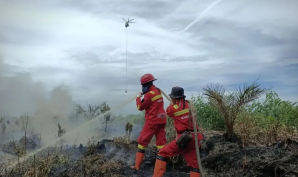 Karhutla Meluas hingga 270 Hektare, Riau Kerahkan Empat Helikopter untuk Padamkan Api di Pelalawan