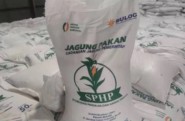 Kementan Mengawal Penyaluran SPHP Jagung, 127 Ribu Ton Sudah Tersalur ke Peternak