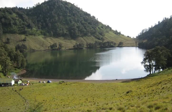 Karhutla Semeru Mengancam Ranu Kumbolo, Sekitar 170 Pendaki Dievakuasi Turun