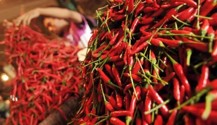 Harga Cabai Rawit Merah Tembus Rp78.100 per Kg, Telur Ayam Ras Rp29.550 per Kg