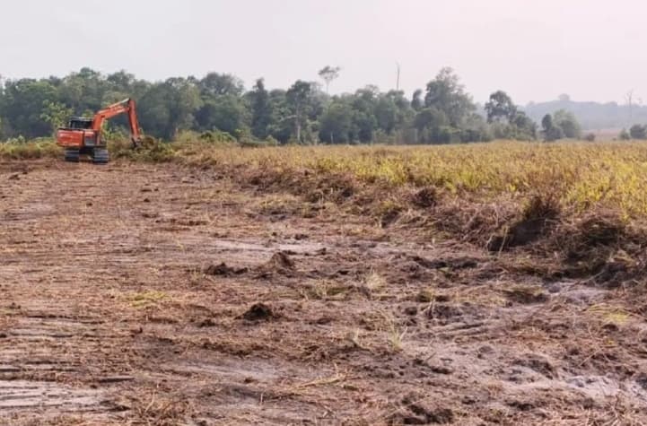 APHI Dukung Inpres Larangan Buka Lahan dengan Membakar untuk Perkuat Pengendalian Karhutla