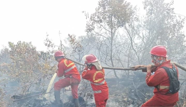 Komnas Perempuan Minta Pemerintah Libatkan Perempuan Penjaga Hutan dalam Penanganan Karhutla