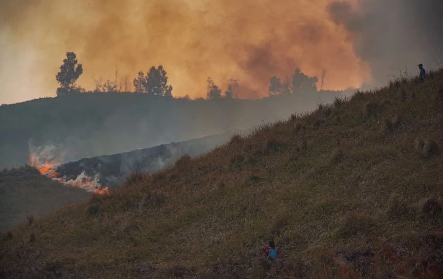TNBTS Menutup Total Wisata Gunung Bromo demi Mempercepat Pemadaman Kebakaran