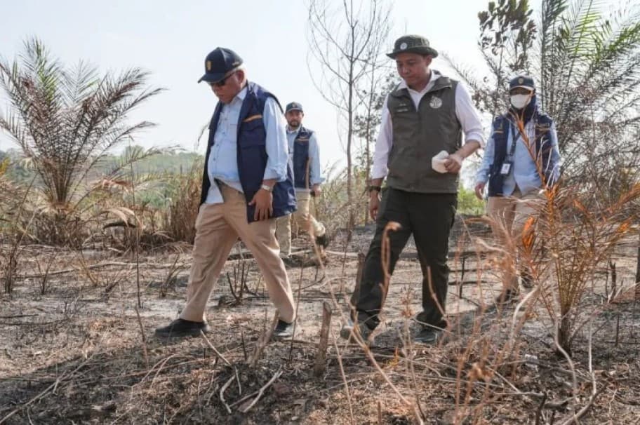 Menhut Bekukan Izin Tiga Perusahaan di Kaltim terkait Karhutla, Proses Pidana Terbuka