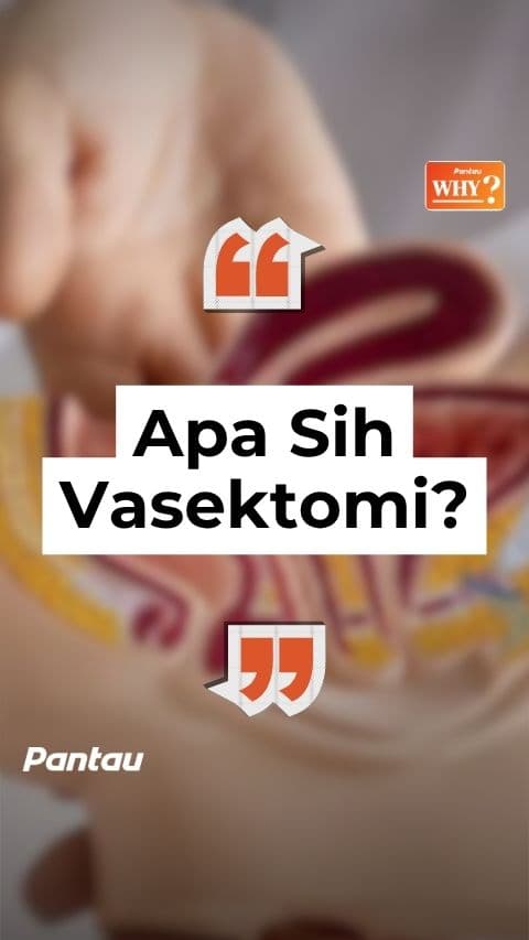APA SIH VASEKTOMI