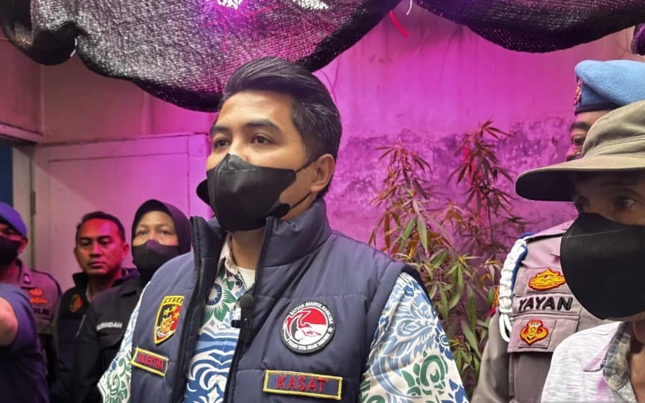 Polisi Bongkar Kebun Ganja di Rumah PPPK Kementerian PU di Cileunyi, Temukan Delapan Pohon Dewasa