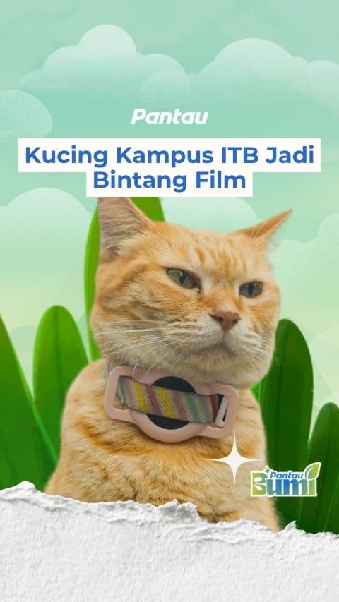 KUCING KAMPUS ITB JADI BINTANG FILM