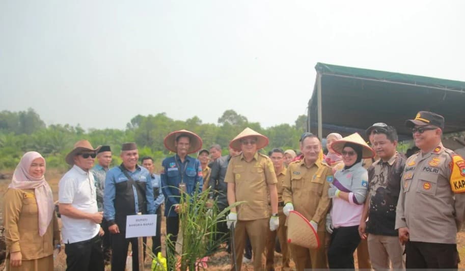 Pemkab Bangka Barat Gandeng Koperasi Jalankan Peremajaan Sawit Rakyat dengan Bibit Unggul
