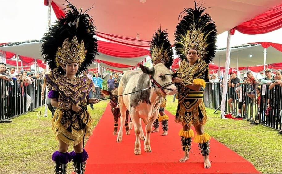 Kontes Sapi APPSI Piala Presiden 2026 Pertemukan Ratusan Sapi dan Peternak dari Berbagai Daerah