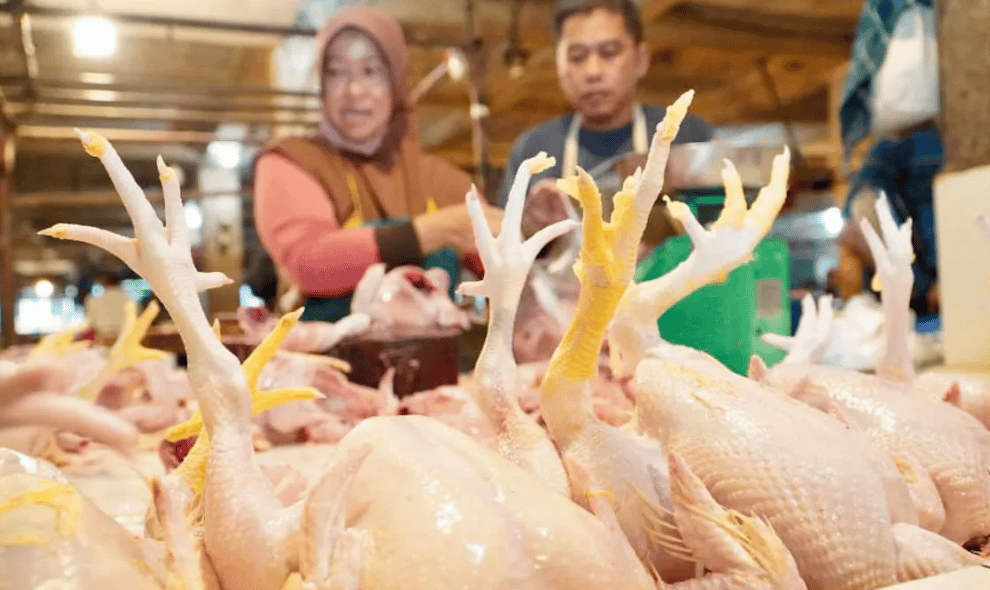 Bapanas Siapkan Subsidi Angkut Daging Ayam untuk Jaga Harga dan Pasokan di Daerah