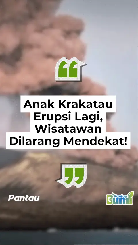 ANAK KRAKATAU ERUPSI LAGI, WISATAWAN DILARANG MENDEKAT