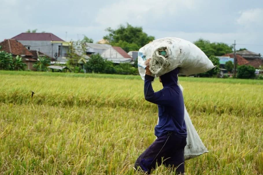 Bulog Jawa Timur Sumbang Hampir 25 Persen Pengadaan Beras Nasional 2026, Realisasi Tembus 978 Ribu Ton