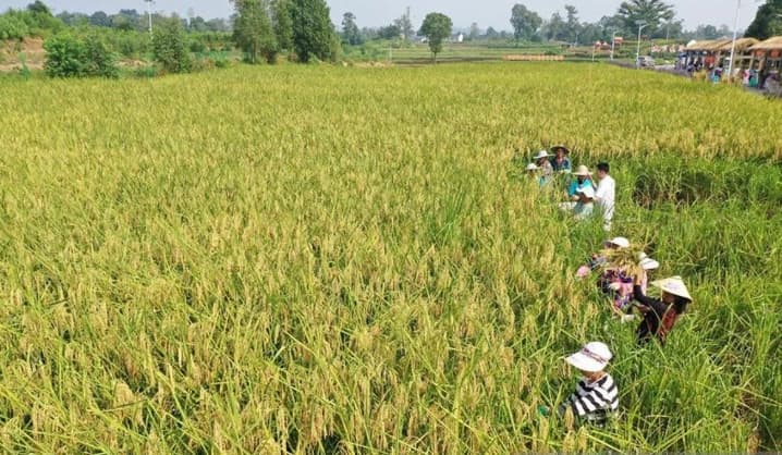 China Perketat Pengawasan Keamanan Pangan dan Siapkan Sanksi Berat bagi Pelanggar