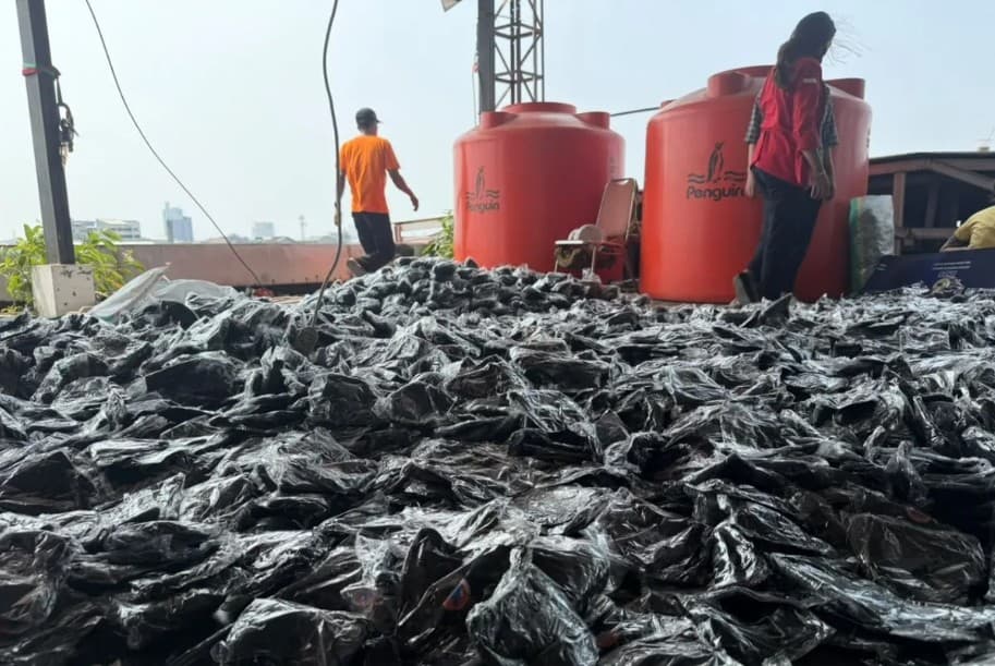 BPBD Makassar Siapkan Satu Kontainer Masker untuk Antisipasi Kabut Asap Karhutla, Kelompok Rentan Jadi Prioritas