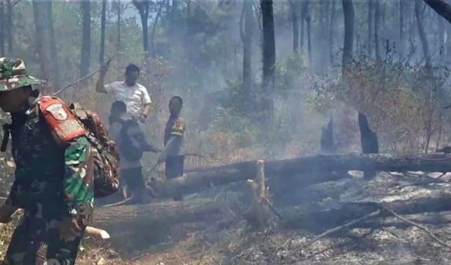 Relawan Karhutla Ungkap Kendala kepada Menhut Raja Juli Antoni, CAN Borneo Luruskan Isu Keterbatasan Anggaran