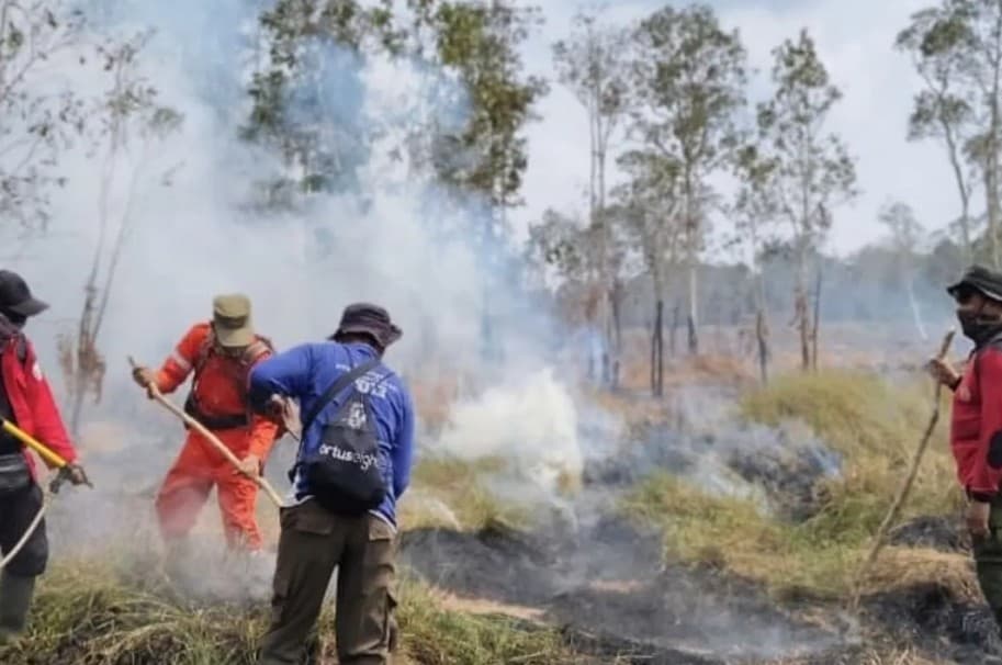 Kebakaran Hutan Way Kambas Belum Padam, 350 Petugas Gabungan Berjuang Atasi Empat Titik Api