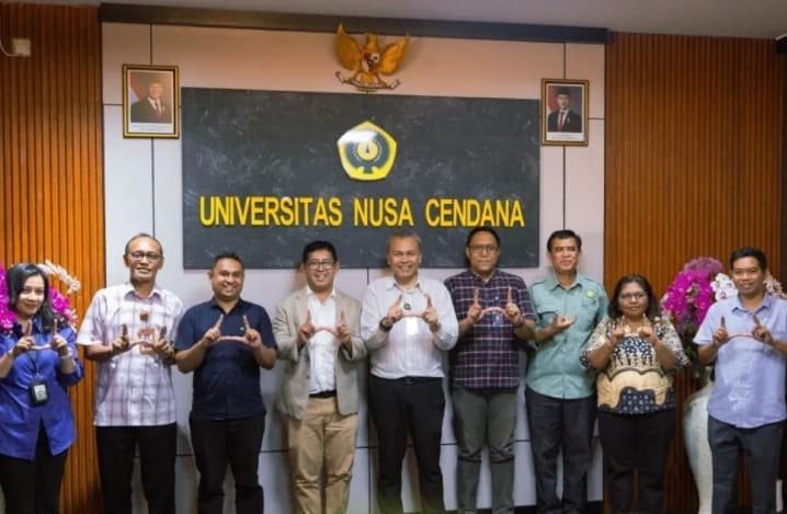 Penyakit Darah Pisang Ancam Petani Flores, Undana dan IFTK Ledalero Siapkan Riset untuk Cari Solusi