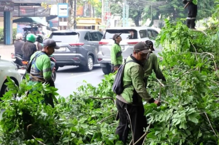 Pemkot Jakarta Selatan Pangkas dan Tebang 23 Pohon Rawan Tumbang di Kebayoran Lama untuk Antisipasi Cuaca Ekstrem