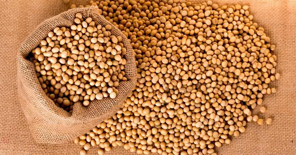 Soal Harga Kedelai, Komisi IV DPR Apresiasi Langkah Cepat Kementan