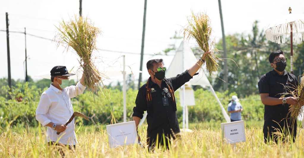 BPS: Januari-Februari 2021, Ekspor Pertanian Tumbuh 8,81 Persen