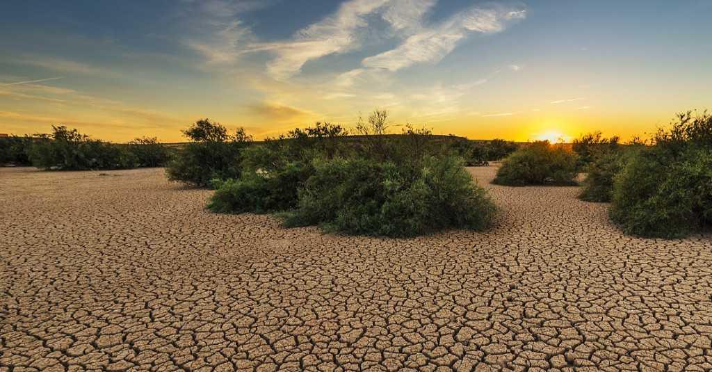 Pelajari! Ini Penjelasan Penyebab dan Dampak Musim Kemarau