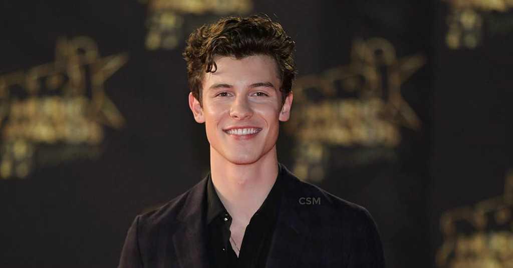 Sedang Asyik Pacaran di Rumah, Mobil Shawn Mendes Raib Digondol Maling