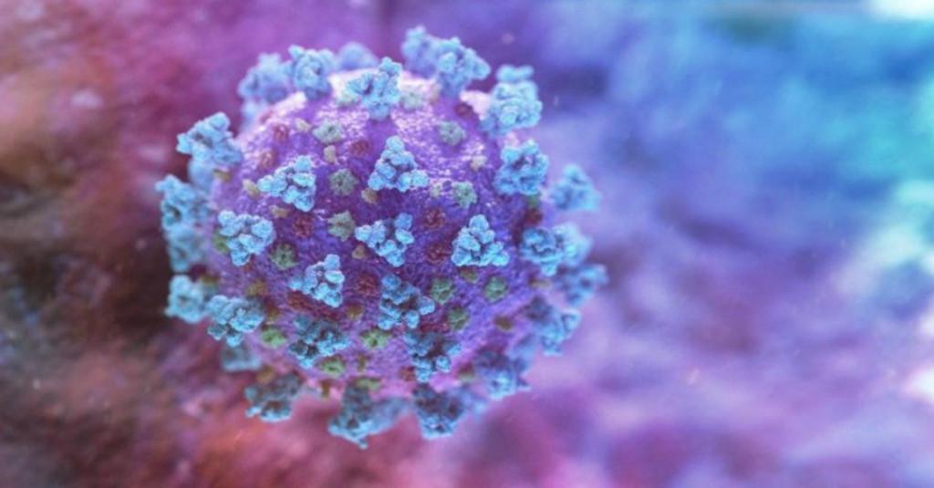 Jangan Khawatir, Pakar Sebut Tubuh Masih Mengingat Virus Jika Antibodi Habis