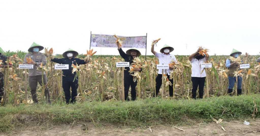 BPS Sebut Ekspor Pertanian Naik 4,18 Persen, November 2021