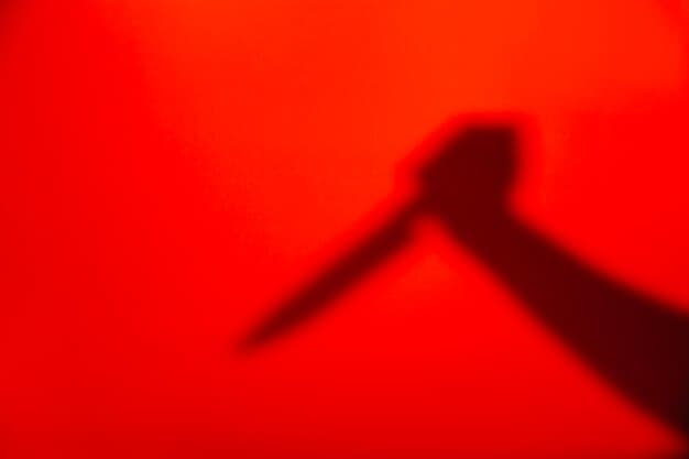 Kasus Pembunuhan Sadis Wanita Hamil di Tegal Akhirnya Terungkap, Begini Motifnya