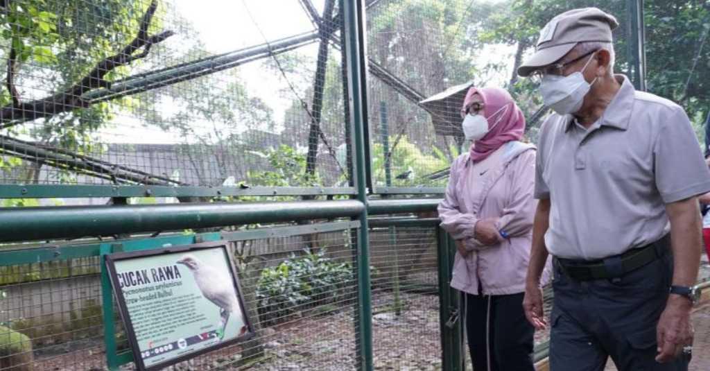 Bergaya Casual, Wapres Mengisi Akhir Pekan di TMII