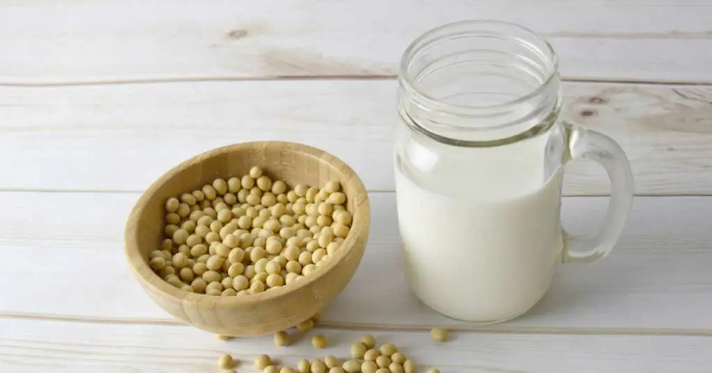 Ternyata Protein Pada Kacang Kedelai Punya Manfaat Mengagumkan