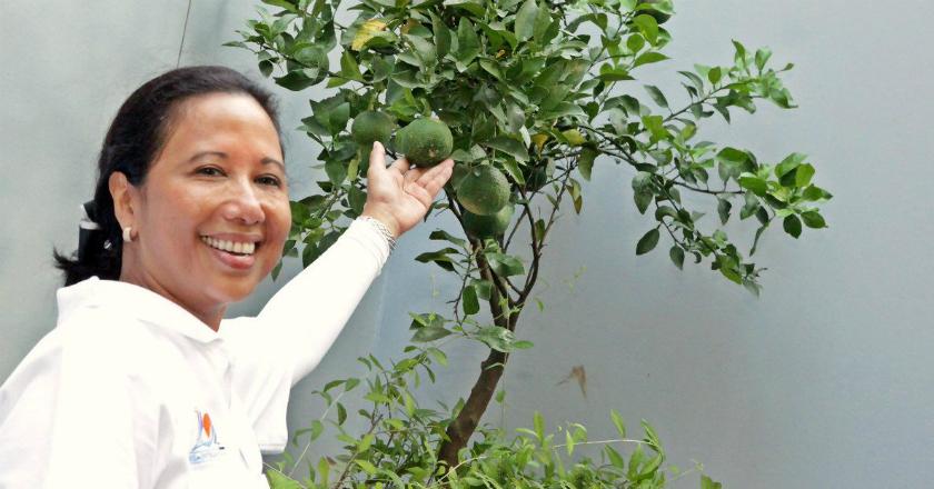 Kementerian BUMN Klarifikasi Percakapan Rini dan Dirut PLN soal 'Bagi-bagi Fee'