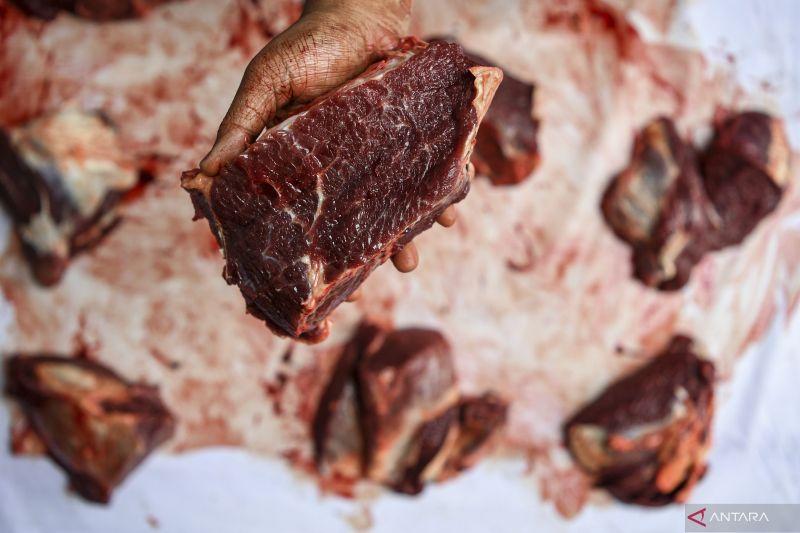 Ngeri! Petugas Temukan Cacing Hati pada 3 Sapi Kurban di Pasar Rebo