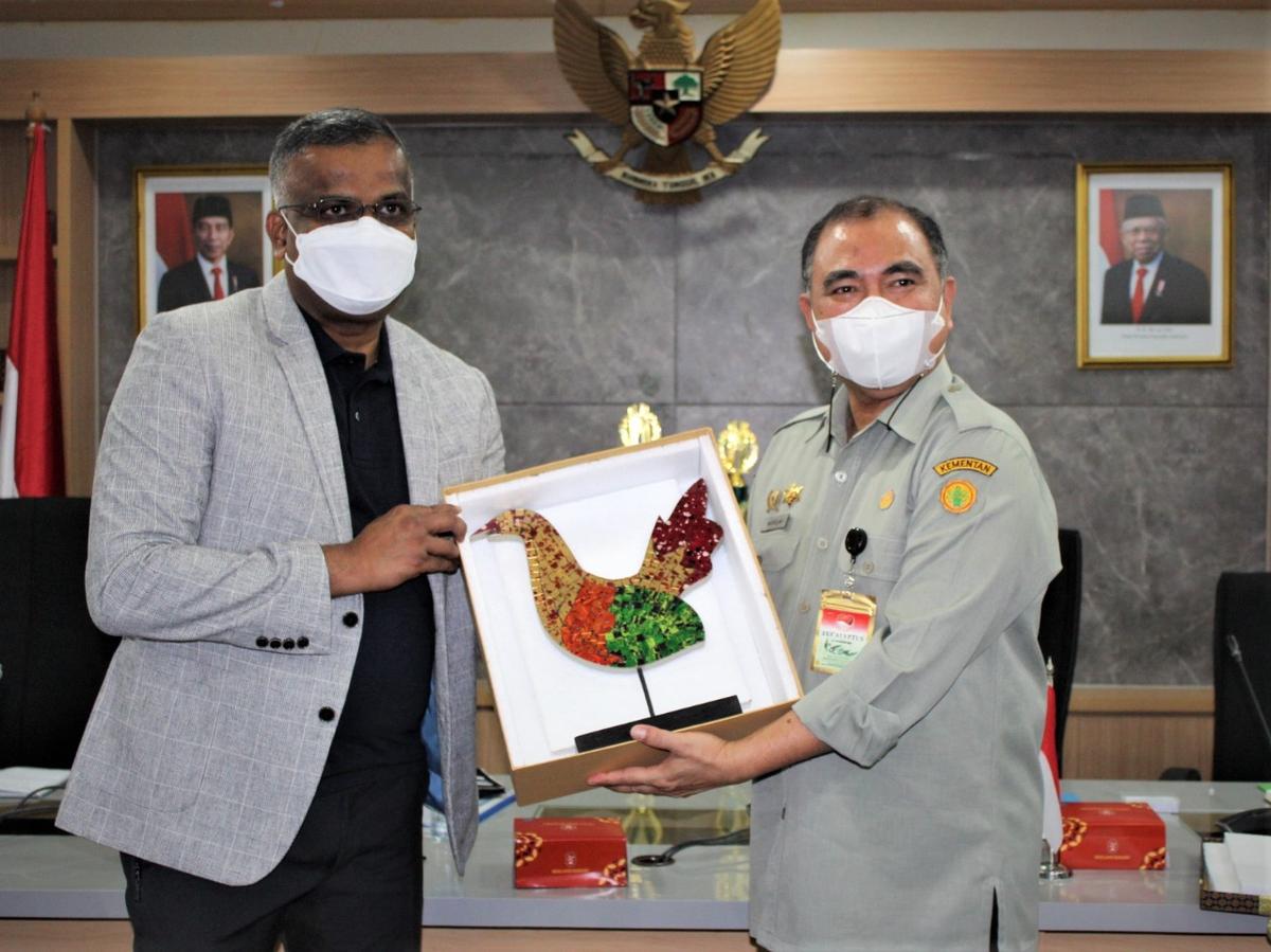 Indonesia Siap Ekspor Unggas dan Produknya ke Singapura